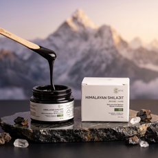 Himalaya Gold Shilajit - 60g