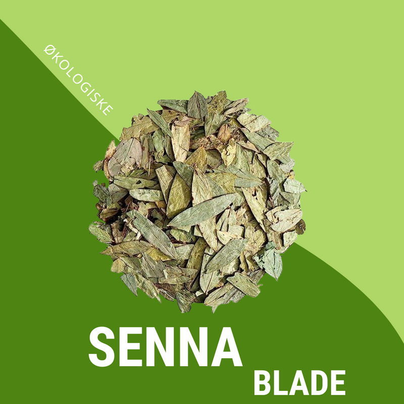 Økologiske Senna Blade - 100g - Sunnah Foods 