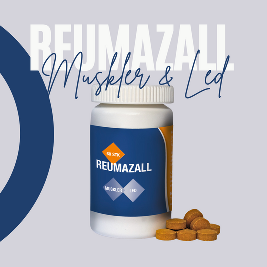Reumazall – Støtte til Led og Fordøjelse - 60 stk - Sunnah Foods 