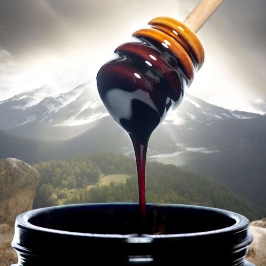 Mountaindrop® Shilajit + Kastanje Honning 350g - Sunnah Foods 